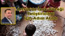 Artvin’de İpek Böceği Yetiştiriciliği İçin İlk Adım